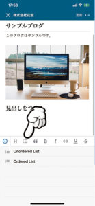 ワードプレス　アプリ　箇条書き挿入